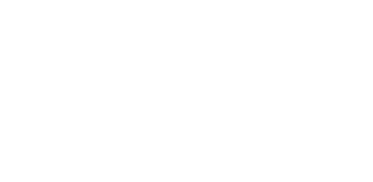 apc-global-consulting